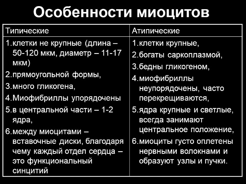 Особенности миоцитов